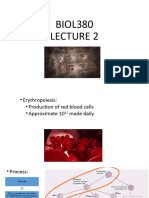 Erythropoiesis and Anaemia