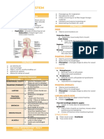 Respiratory System