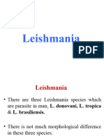 Leishmania