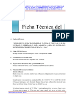 Ficha Tecnica