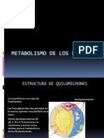 Metabolismo de Los Lipidos