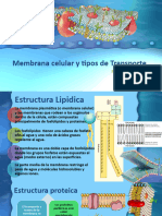 Membrana Celular y Tipos de Transporte