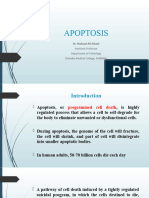 Apoptosis