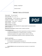 Proiect de Activitate Matematica