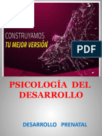 Desarrollo Prenatal