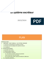 Le Système Excréteur 2023-2024