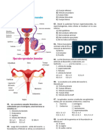 5to Anatomia Semana 4 SISTEMA REPRODUCTOR