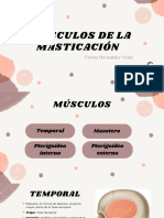 Musculos de La Masticacion