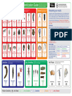 Macroinvertebrate Guide