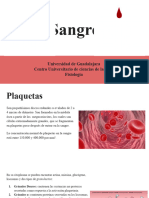 Fisiología. Sangre. Equipo 1