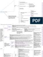 Mapa Mental - Examen Mental Del Paciente, Giannina Rojas