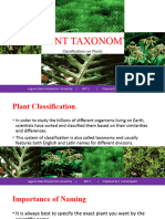 Plant Classification