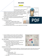 Resumen Examen Inicial