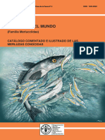 Catalogo Merluzas