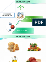 CLASE 4 Biomoleculas