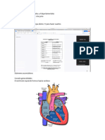 Patología Sistemica Teoria