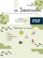 Sistemas Sensoriales - Fisiología