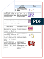 Tarea 2 Embriologia