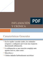 Inflamación Aguda y Crónica