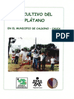 El Cultivo Del Platano: en El Municipio de Caldono - Cauca