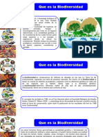 1 Curso Biodiversidad