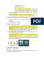 Aula 4 - Terapia Pulpar de Dentes Decíduos