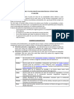 Rol Estructura Del Carbono - Sotero