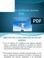 Declaracion de Rio