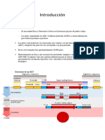 Genetica U1