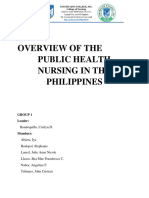 Overview of The Public Health Nursing in The Philippines Group 1 BSN 2 D