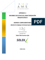 Apendice 2. Informe Ejecutivo - LAYOUT Actualizado