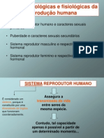 1) Caracteres Sexuais Secundarios Sist Reprd Feminino e Masculino