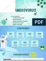 Paramixovirus 