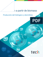 Producción A Partir de Biomasa M2T2TH