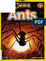 Ants 