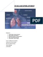 Informe El Sistema Respiratorio