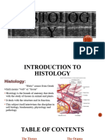 Introduction Epithelium