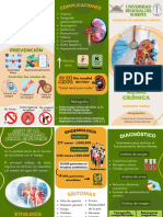 Tríptico-Insuficiencia Renal Crónica