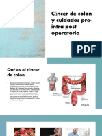 Cáncer de Colon y Cuidados Pre-Intra-post Operatorio