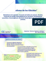 11 Tema 11 QcaOrgyBiol. - FI-FUNER-2C-2020 Glicolisis