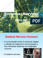 Sistema Nervoso - 1