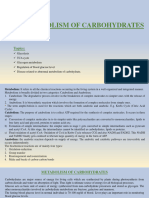 4 - Metabolism of Carbohydrates