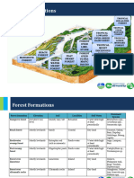 Forest Formations