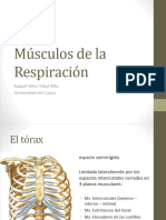 Músculos de La Respiración