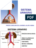 Sistema Urinário Profa - Carolina Julião