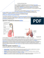 Sistemas Del Cuerpo Humano