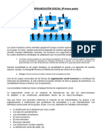 Tema 3 ORGANIZACIÓN SOCIAL