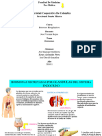 Infograma Bioquimica