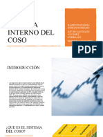 Sistema Interno Del Coso