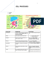 Cell Processes